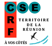Comité Social Économique Croix Rouge de la Réunion